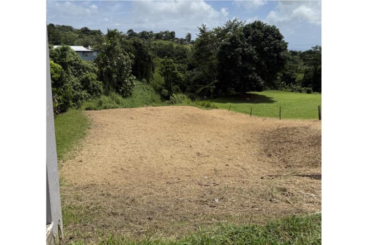 Tejas Puerto Rico Yabucoa