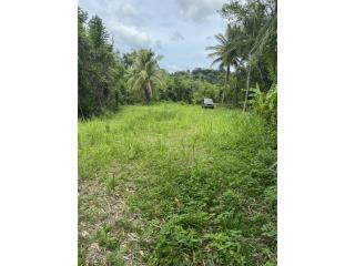 BO:RIO PRIETO,LARES,FINCA 32 CDAS $175,000.00