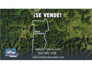 FINCA AGR�COLA CON FRENTES DE CARRETERA