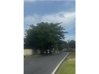  Terreno a la venta en Bo. Yeguada, Vega Baja