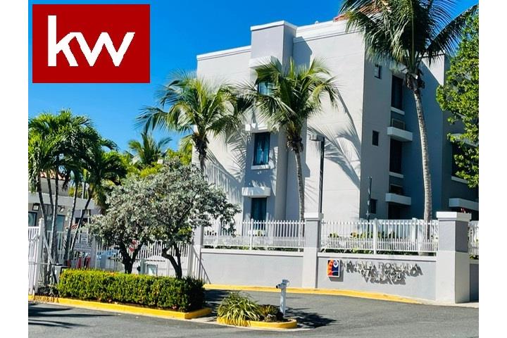 Palma Dorada Vega Alta