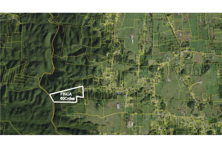 Naranjito Puerto Rico Hatillo