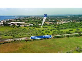 44 Cuerdas in Hatillo - FOR SALE