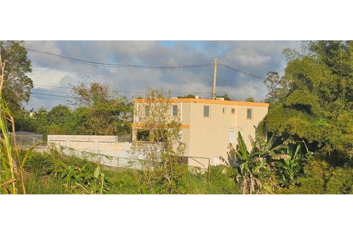 Quebradillas Puerto Rico Barranquitas