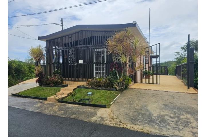 Helechal Puerto Rico Barranquitas