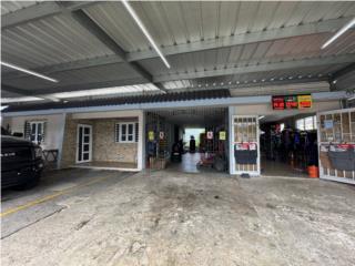 5H/2B/amueblada/2 plantas/�rea negocio/600mts 