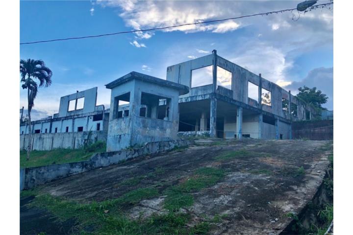 Sonadora Puerto Rico Aguas Buenas