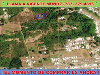 BO. SUSUA ALTA 12-A, CARR.368 KM12.1 *SOLAR *