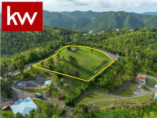 URB. VISTAS DEL CARIBE, TERRENO EN CAYEY