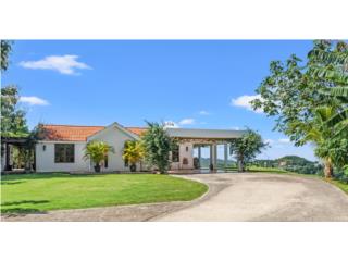 Mediterranean Hilltop Estate, Panoramic Views