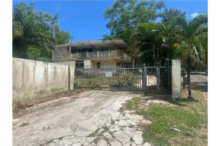 Lomas Puerto Rico Juana Díaz