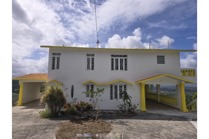 Montones Puerto Rico Las Piedras