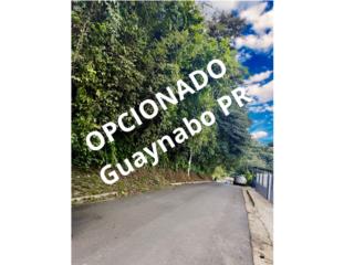 Bo. Mamey