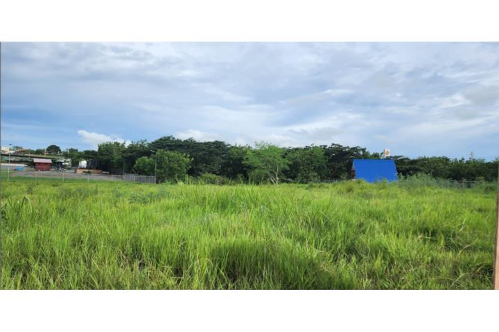 Boqueron Puerto Rico Cabo Rojo