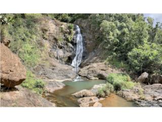 Natural Exclusivity in Orocovis â€“ 36-Acre