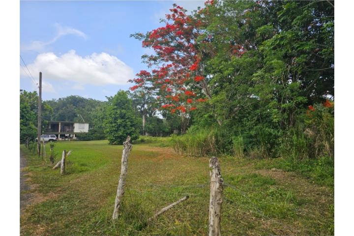 Montebello Puerto Rico Manatí
