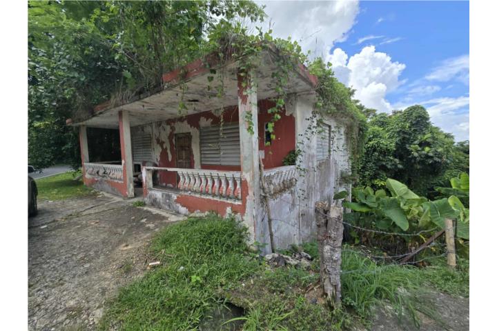 Lomas Puerto Rico Canóvanas