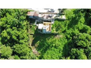 TERRENO CON ESTRUCTURA EN LA PR-123