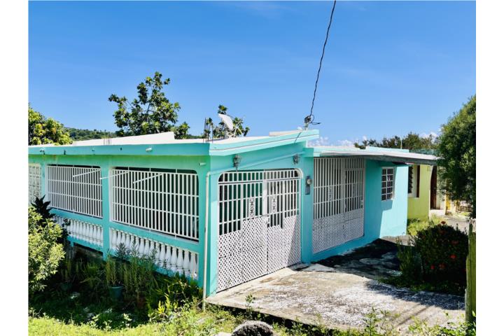 Aguacate Puerto Rico Yabucoa