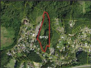 Prime 10-Cuerdas Land in Dorado, Puerto Rico 