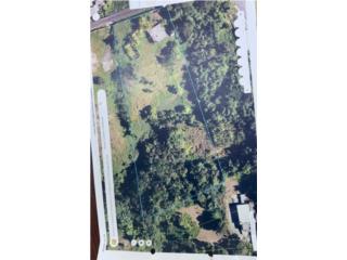 BO. BEATRIZ  SECTOR PI�AS CAGUAS