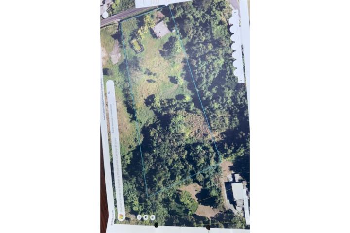 Beatriz Puerto Rico Caguas