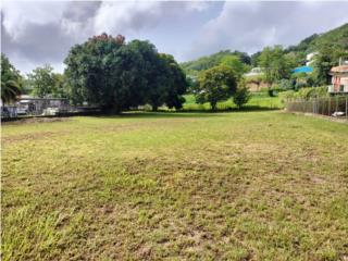 Bo. Collores, Humacao (Solar)