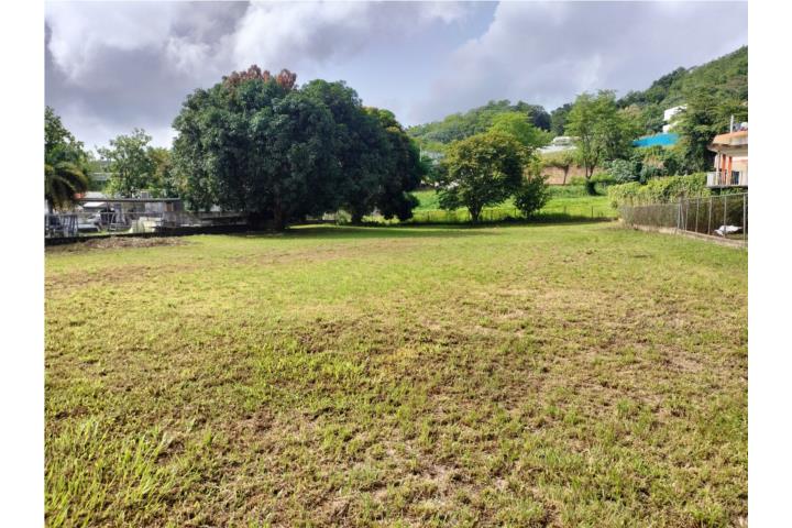 Collores Puerto Rico Humacao