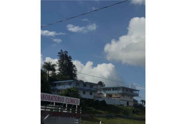 Se vende propiedad multifamiliar 3 habitaciones, 1 baño y media cuerda de terreno aproximadamente.
