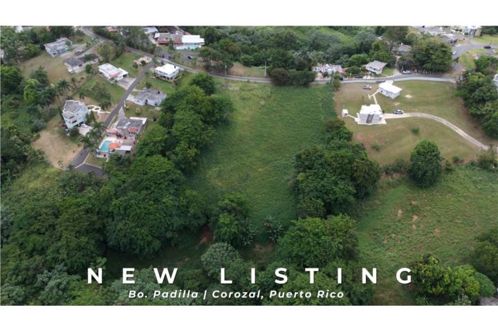 Padilla Puerto Rico Corozal