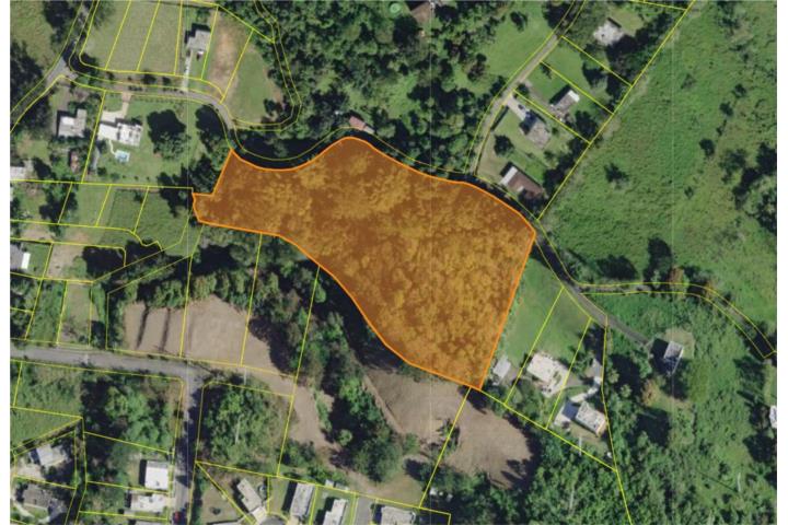 Atención, Desarrollador e Inversionista inmobiliario Excelente oportunidad de adquirir esta única finca de 3.