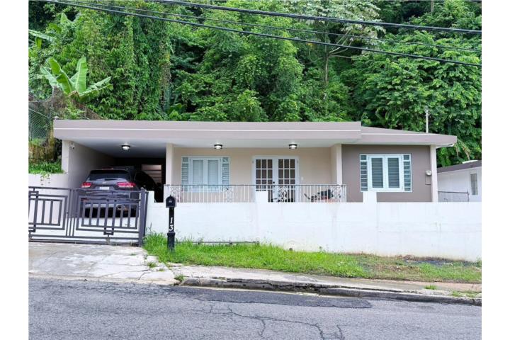 Pueblo Puerto Rico Lares