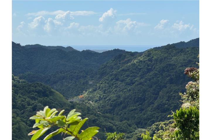 Anon Puerto Rico Ponce