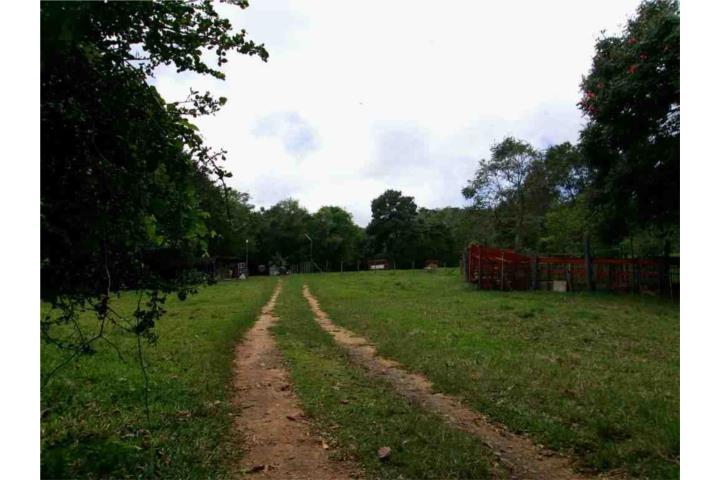 San Quebradillas