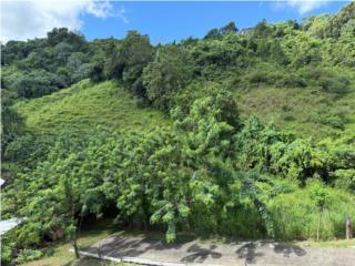 Solar en Venta � Barrio Negros,Corozal