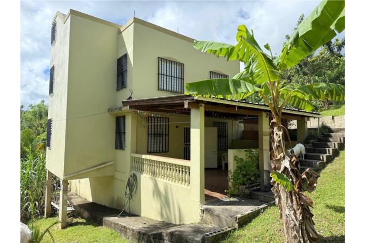 Negros Puerto Rico Corozal