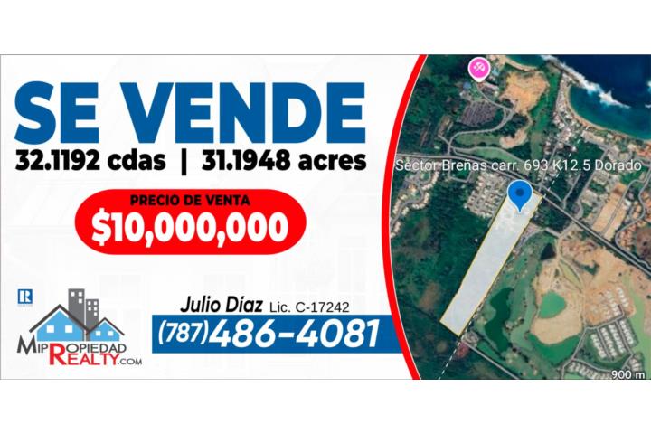 Brenas Puerto Rico Dorado