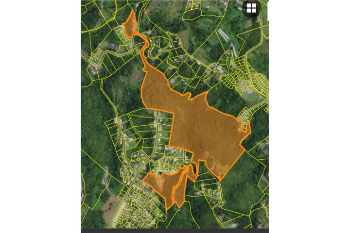 Llanos Puerto Rico Aibonito