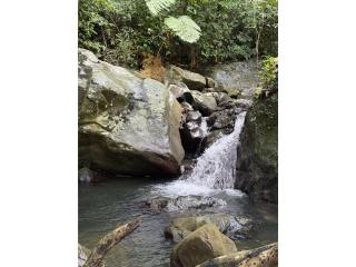 Paraiso en la MontaÃ±a 21cdas