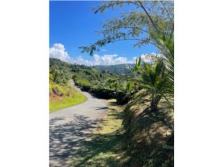 Se vende casa con 39 CDAS terreno