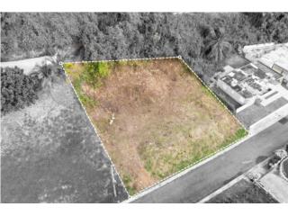 Lot for Sale. Bo. Maguayo, Dorado, P.R