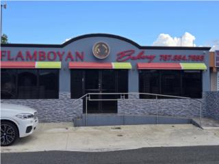 Propiedad Comercial � Urb. Flamboy�n, Manati