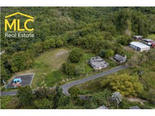 Finca de 5.5 Cuerdas con Residencia Fixer 