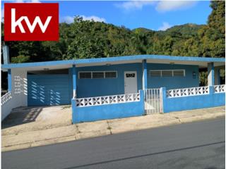 BO. HATO NUEVO, CASA EN GURABO