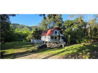 Venta en Palmarejo, Coamo