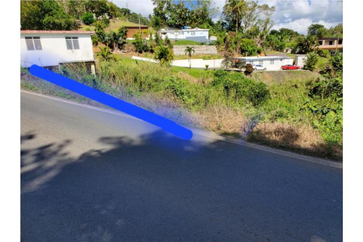 4 Fotos