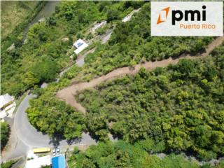FINCA EN AIBONITO, 37.5 Cuerdas, 149k