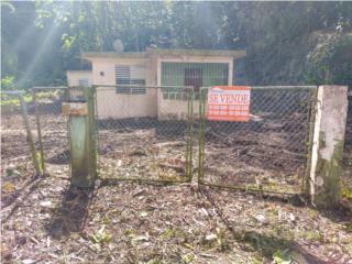 Bo Rio Hondo- Mayaguez- 