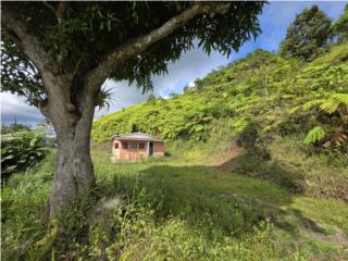 Casita de Campo con Hermosa Vista Panor�mica!