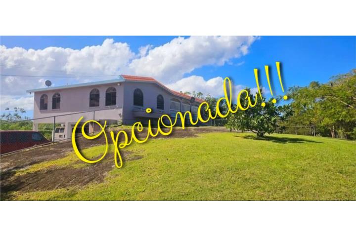 Camaseyes Puerto Rico Aguadilla